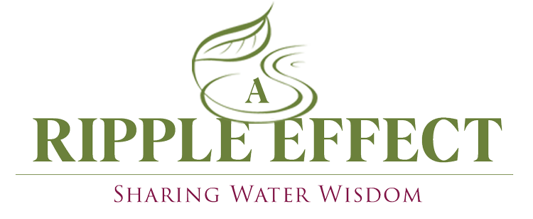 A pleeff logo with water and trees in the background